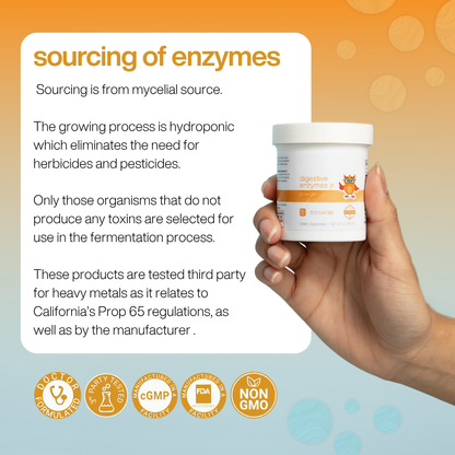 Digestive Enzymes Jr. Powder
